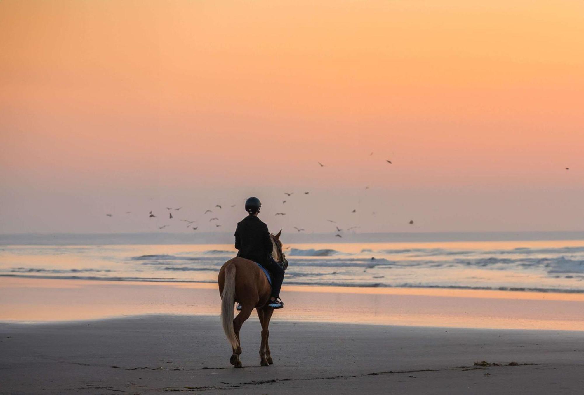 Mazagan Beach & Golf Resort Provincia di Provincia di El Jadida Esterno foto Sunset at the beach